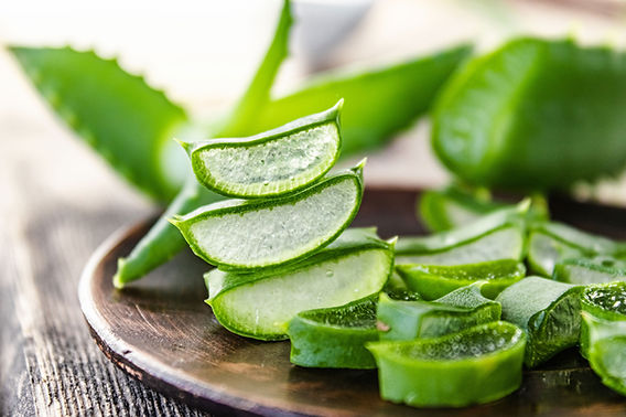 Aloe Vera Sunscreen