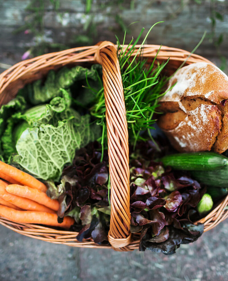 Longevity Foods: What Ancient Civilizations Ate for Vitality & Strength